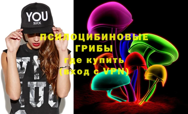 винт Богданович