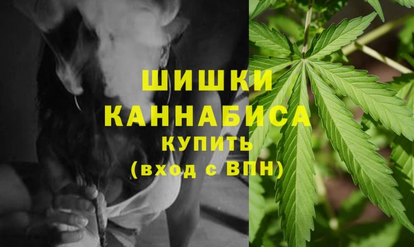 сатива Богородск