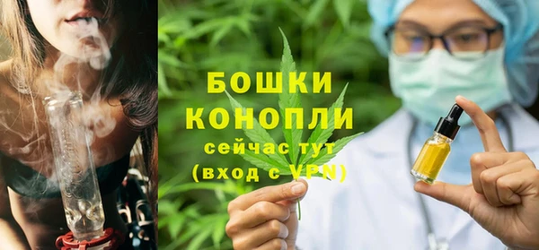 сатива Богородск